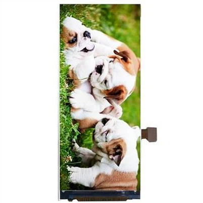 תצוגת LCD בגודל 3.46 אינץ'